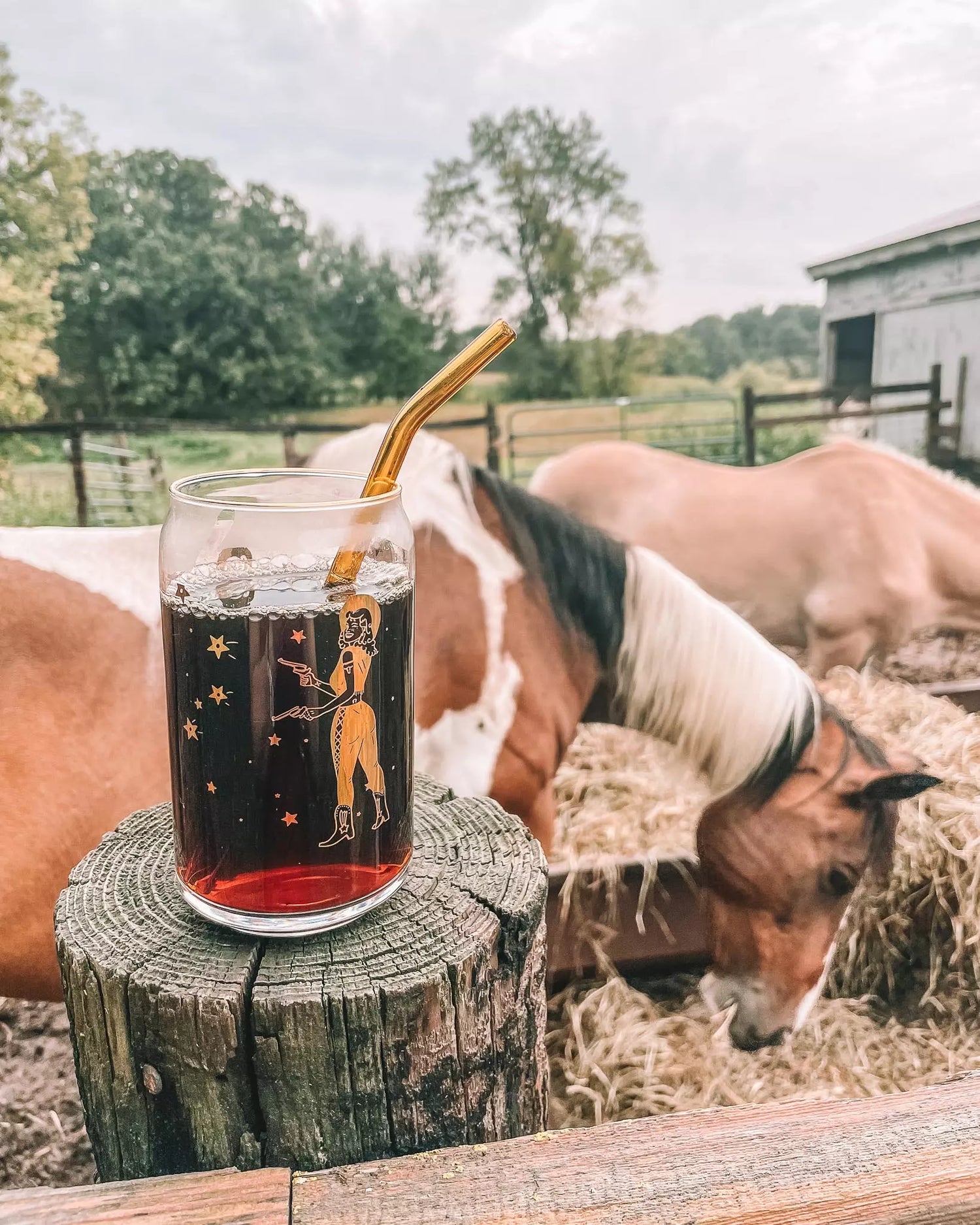 Cowgirl Shoot for the Stars - 20oz