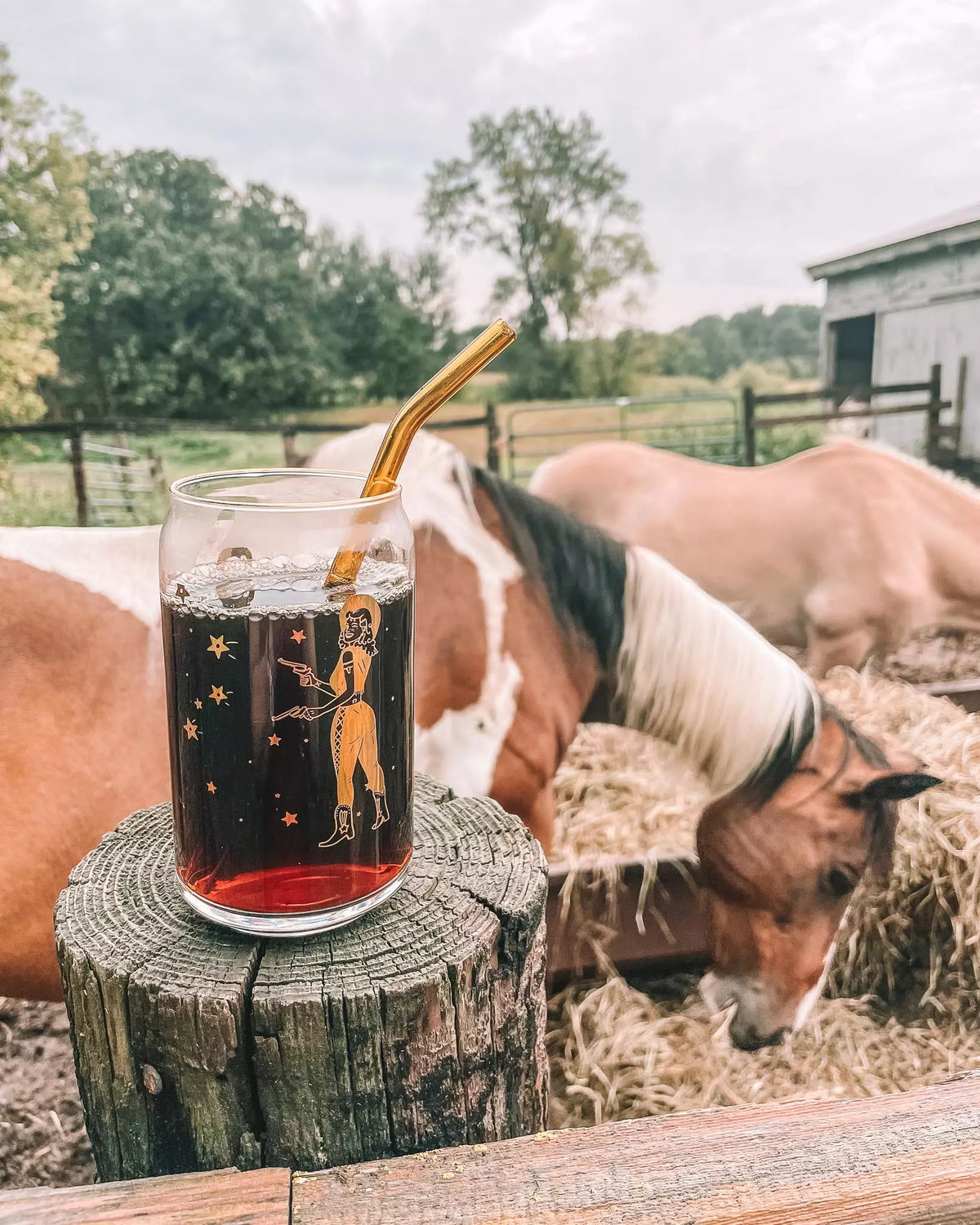 Cowgirl Shoot for the Stars - 20oz